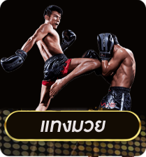 แทงมวย by luckyall